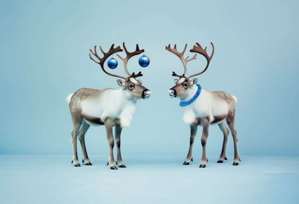 Planera ett gnistrande julevent