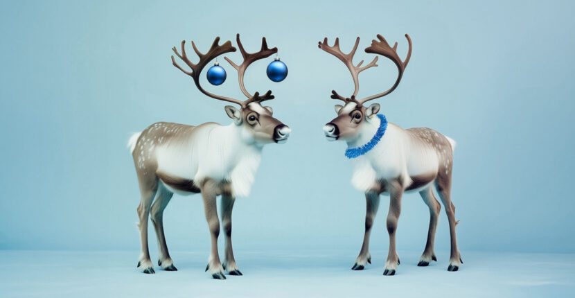 Planera ett gnistrande julevent